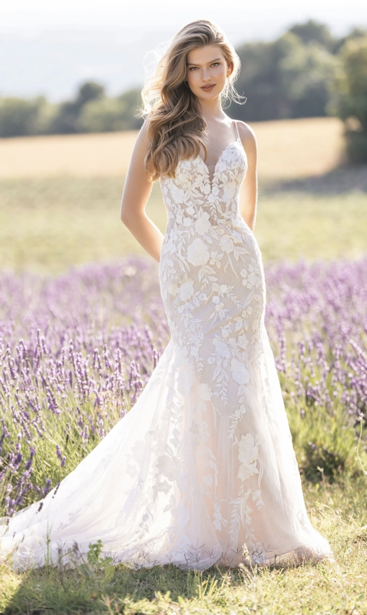 Allure Romance bride